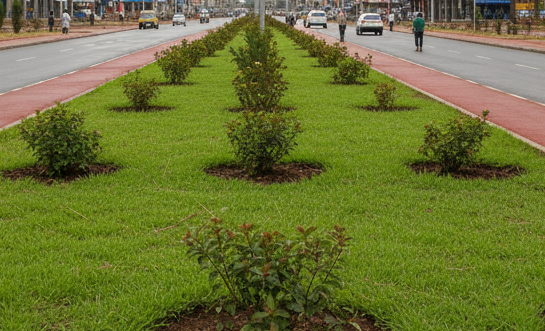 gemini generated image 1mg1zn1mg1zn1mg1 (1)